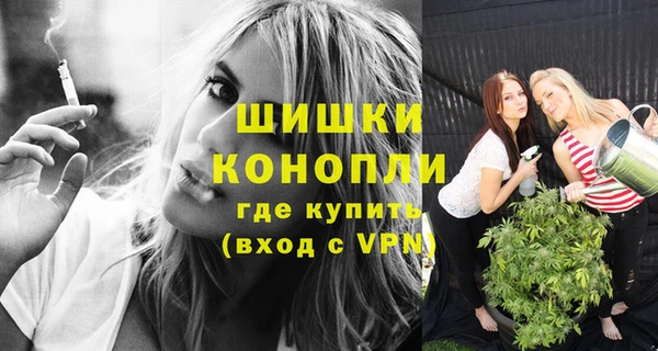 сатива Белокуриха