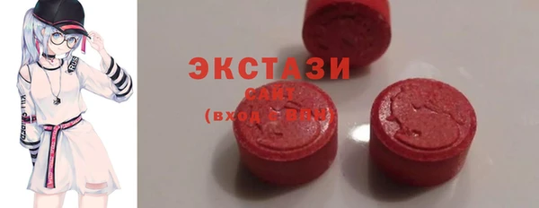 ECSTASY Богородицк