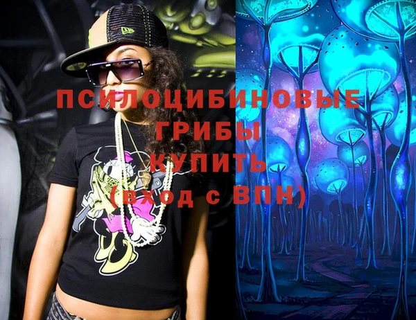 сатива Белокуриха