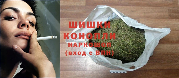 сатива Белокуриха
