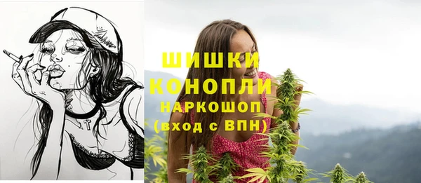 ECSTASY Богородицк